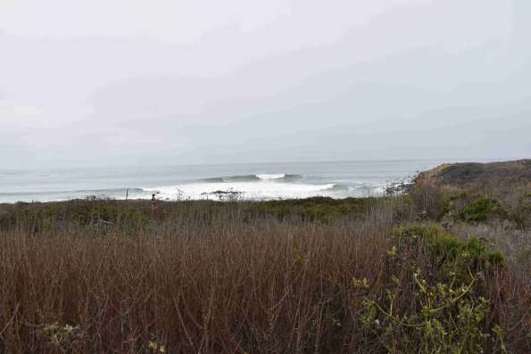 DSC_0110_1838