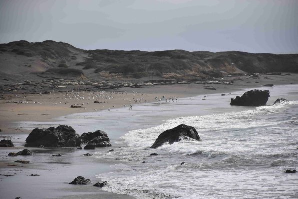 DSC_0159_1876