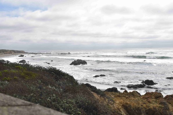 DSC_0165_1882