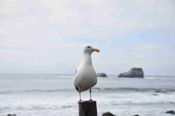 DSC_0166_1883