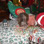 DSC_0111_2086 (December 15, 2025)