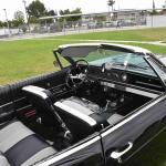 DSC_0015_698 (May 17, 2025)