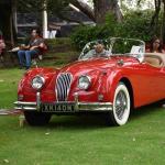 2025 Albums (January 01, 2025)