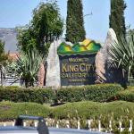 DSC_0027_398 (May 13, 2025)