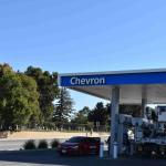 DSC_0028_399 (May 13, 2025)