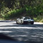 DSC_0030_400 (May 13, 2025)