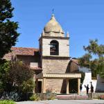 DSC_0051_407 (May 13, 2025)