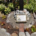 DSC_0054_410 (May 13, 2025)