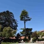 DSC_0055_411 (May 13, 2025)