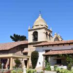 DSC_0057_413 (May 13, 2025)