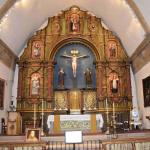 DSC_0100_444 (May 13, 2025)