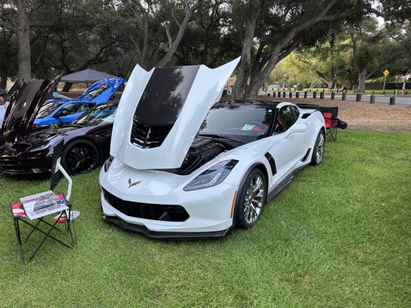 PatriotsandPaws_0001