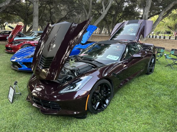 PatriotsandPaws_0004