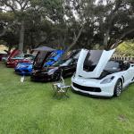 PatriotsandPaws_0005 (October 05, 2025)