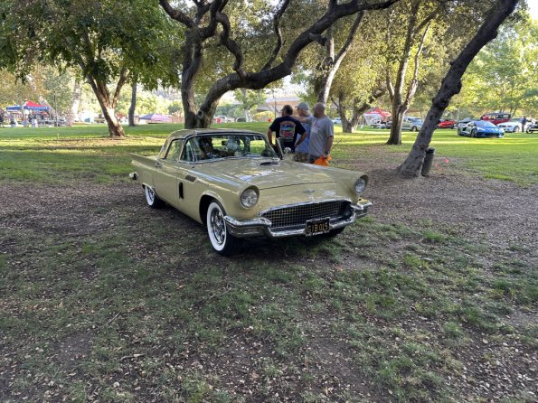 PatriotsandPaws_0020