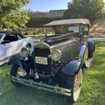 PatriotsandPaws_0027 (October 05, 2025)