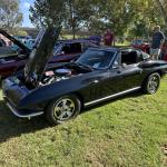 PatriotsandPaws_0035 (October 05, 2025)