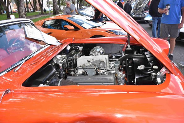DSC_0137_1497
