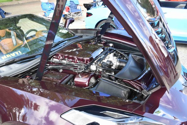 DSC_0205_1565