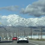 IMG_5238 (February 17, 2026)