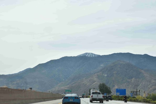 DSC_0012_2398