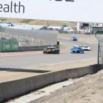 IMG_1305 (May 06, 2026)