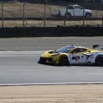 IMG_1363 (May 06, 2026)