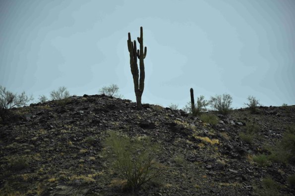 DSC_0027_3224