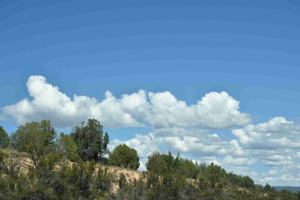 DSC_0047_3243