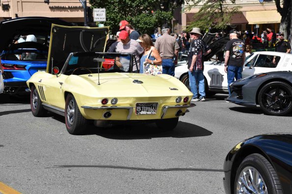 DSC_0118_3314