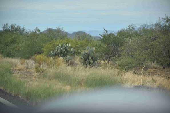 DSC_0166_3361