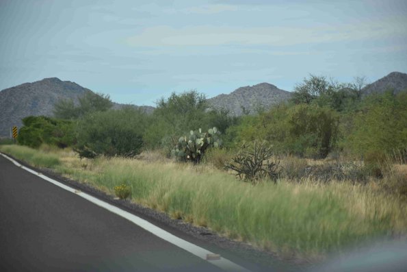 DSC_0168_3363