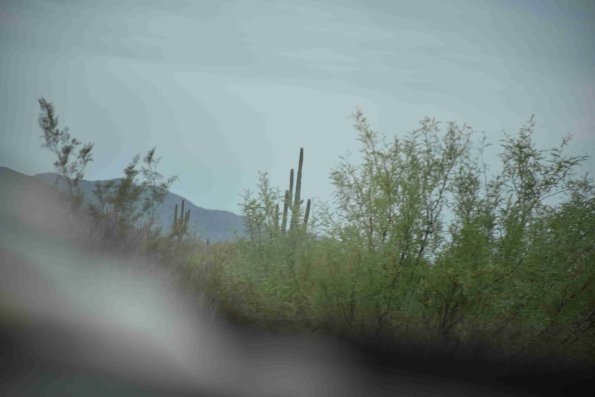 DSC_0176_3371